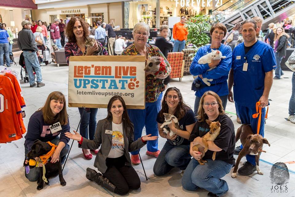 1620599_548107088655221_3773473250181442533_n