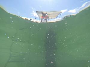 11539622_10204520885564620_6569963961226381539_n