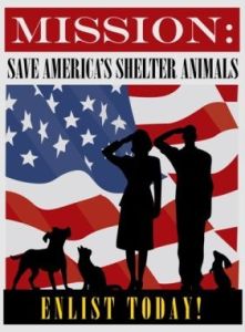 888eac8cf4ddce27fc361088c2db504e